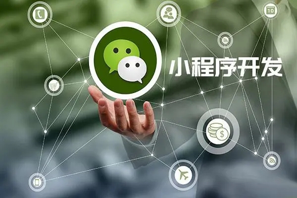 通过奉贤区小程序开发公司进行先进的成分管理